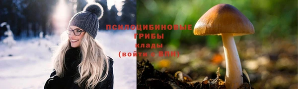марки nbome Козельск
