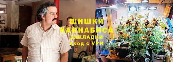 твердый Кодинск