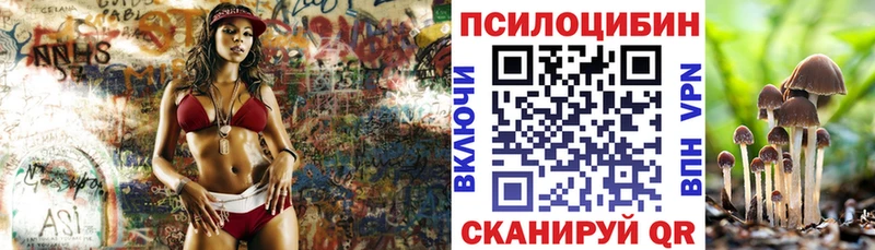 Галлюциногенные грибы прущие грибы Купить где Касимов